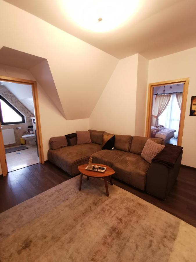 Apartament Kalinderu K1 부스테니 외부 사진
