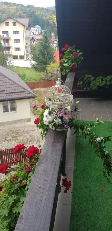 Apartament Kalinderu K1 부스테니 외부 사진
